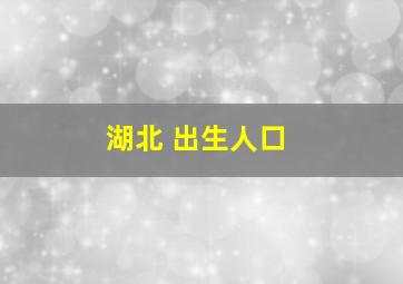 湖北 出生人口